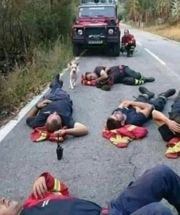 &Tau;&iota; &sigma;&eta;&mu;&alpha;ί&nu;&epsilon;&iota; &nu;&alpha; &mu;&eta;&nu; έ&chi;&epsilon;&iota;&sigmaf; &tau;&sigma;ί&pi;&alpha;