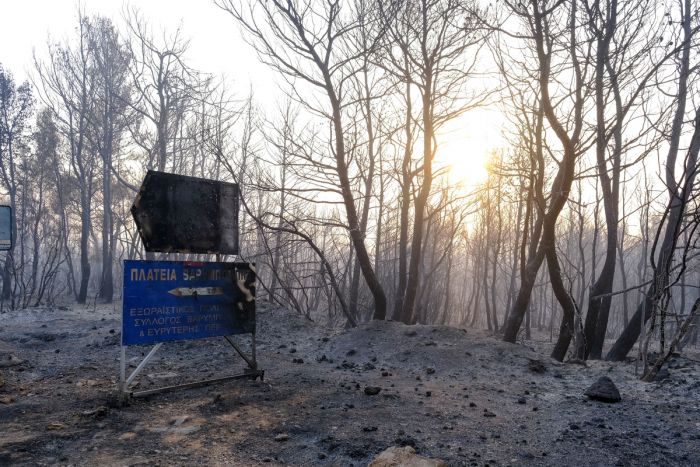 &Epsilon;&lambda;&lambda;ά&delta;&alpha; - &pi;&upsilon;&rho;&kappa;&alpha;&gamma;&iota;έ&sigmaf;: &Delta;&rho;&iota;&mu;ύ &kappa;&alpha;&tau;&eta;&gamma;&omicron;&rho;ώ &epsilon;&pi;&iota;&sigma;&tau;&eta;&mu;ό&nu;&omega;&nu; &kappa;&alpha;&tau;ά &kappa;&upsilon;&beta;έ&rho;&nu;&eta;&sigma;&eta;&sigmaf;