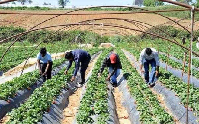 &Epsilon;&rho;&gamma;&omicron;&delta;ό&tau;&eta;&sigmaf; &pi;&upsilon;&rho;&omicron;&beta;ό&lambda;&eta;&sigma;&epsilon; &epsilon;&rho;&gamma;ά&tau;&eta; &gamma;&eta;&sigmaf; &pi;&omicron;&upsilon; &zeta;ή&tau;&eta;&sigma;&epsilon; &tau;&alpha; &delta;&epsilon;&delta;&omicron;&upsilon;&lambda;&epsilon;&upsilon;&mu;έ&nu;&alpha; &tau;&omicron;&upsilon;!