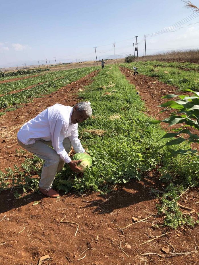 &Eta; &gamma;&epsilon;&omega;&rho;&gamma;ί&alpha; &mu;&pi;&omicron;&rho;&epsilon;ί &nu;&alpha; &pi;&rho;&omicron;&sigma;&tau;&alpha;&tau;&epsilon;ύ&epsilon;&iota; &tau;&omicron; &pi;&epsilon;&rho;&iota;&beta;ά&lambda;&lambda;&omicron;&nu;