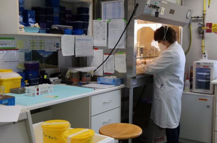 &Kappa;ύ&pi;&rho;&omicron;&sigmaf;: &Tau;έ&sigma;&sigma;&epsilon;&rho;&alpha; &nu;έ&alpha; &pi;&epsilon;&rho;&iota;&sigma;&tau;&alpha;&tau;&iota;&kappa;ά &kappa;&omicron;&rho;&omega;&nu;&omicron;ϊ&omicron;ύ &alpha;&nu;&alpha;&kappa;&omicron;ί&nu;&omega;&sigma;&alpha;&nu; &omicron;&iota; &alpha;&rho;&chi;έ&sigmaf; &sigma;ή&mu;&epsilon;&rho;&alpha; &Kappa;&upsilon;&rho;&iota;&alpha;&kappa;ή