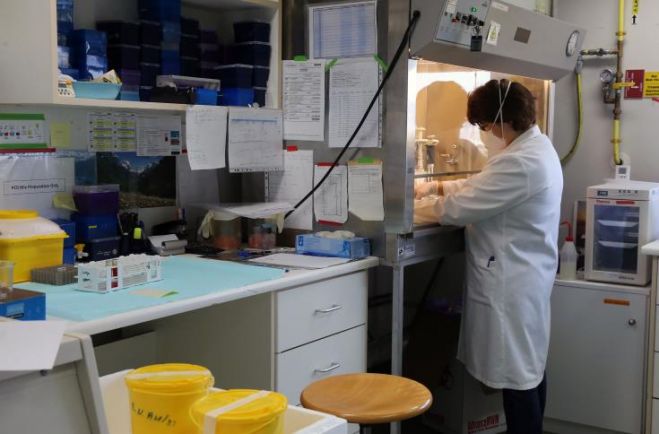 &Kappa;ύ&pi;&rho;&omicron;&sigmaf;: &Tau;έ&sigma;&sigma;&epsilon;&rho;&alpha; &nu;έ&alpha; &pi;&epsilon;&rho;&iota;&sigma;&tau;&alpha;&tau;&iota;&kappa;ά &kappa;&omicron;&rho;&omega;&nu;&omicron;ϊ&omicron;ύ &alpha;&nu;&alpha;&kappa;&omicron;ί&nu;&omega;&sigma;&alpha;&nu; &omicron;&iota; &alpha;&rho;&chi;έ&sigmaf; &sigma;ή&mu;&epsilon;&rho;&alpha; &Kappa;&upsilon;&rho;&iota;&alpha;&kappa;ή