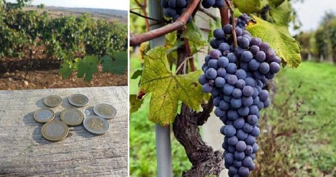 &Epsilon;&lambda;&lambda;ά&delta;&alpha;: &Mu;&epsilon;&tau;&alpha;&nu;ά&sigma;&tau;&epsilon;&sigmaf; ά&phi;&eta;&sigma;&alpha;&nu; &chi;&rho;ή&mu;&alpha;&tau;&alpha; &gamma;&iota;&alpha; &tau;&alpha; &sigma;&tau;&alpha;&phi;ύ&lambda;&iota;&alpha; &pi;&omicron;&upsilon; έ&phi;&alpha;&gamma;&alpha;&nu; &alpha;&pi;ό &alpha;&mu;&pi;&epsilon;&lambda;ώ&nu;&alpha;