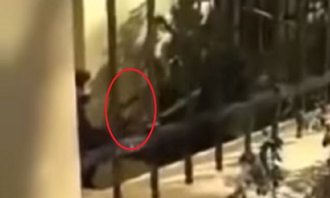 &Epsilon;&lambda;&lambda;ά&delta;&alpha;: &Alpha;&sigma;&tau;&upsilon;&nu;&omicron;&mu;&iota;&kappa;ό&sigmaf; &tau;&rho;ά&beta;&eta;&xi;&epsilon; ό&pi;&lambda;&omicron; &sigma;&tau;&eta;&nu; &Alpha;&Sigma;&Omicron;&Epsilon;&Epsilon;!