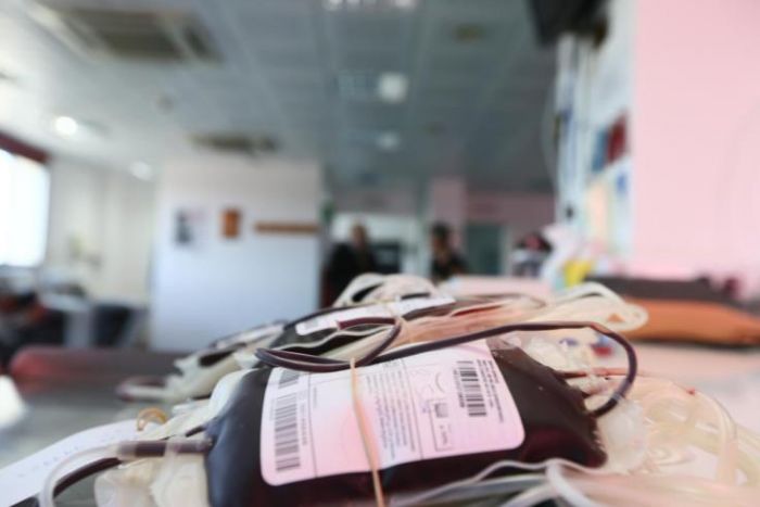 &Pi;&omicron;&lambda;ύ &psi;&eta;&lambda;ά &tau;&omicron; &epsilon;&pi;ί&pi;&epsilon;&delta;&omicron; &tau;&eta;&sigmaf; &epsilon;&theta;&epsilon;&lambda;&omicron;&nu;&tau;&iota;&kappa;ή&sigmaf; &alpha;&iota;&mu;&omicron;&delta;&omicron;&sigma;ί&alpha;&sigmaf; &sigma;&tau;&eta;&nu; &Kappa;ύ&pi;&rho;&omicron;