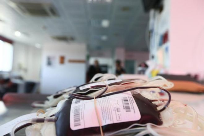 &Pi;&omicron;&lambda;ύ &psi;&eta;&lambda;ά &tau;&omicron; &epsilon;&pi;ί&pi;&epsilon;&delta;&omicron; &tau;&eta;&sigmaf; &epsilon;&theta;&epsilon;&lambda;&omicron;&nu;&tau;&iota;&kappa;ή&sigmaf; &alpha;&iota;&mu;&omicron;&delta;&omicron;&sigma;ί&alpha;&sigmaf; &sigma;&tau;&eta;&nu; &Kappa;ύ&pi;&rho;&omicron;