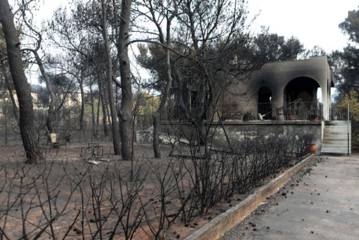 &Pi;&rho;&omicron;&sigma;&omicron;&chi;ή &sigma;&tau;&eta;&nu; έ&kappa;&theta;&epsilon;&sigma;&eta; &tau;&omega;&nu; &pi;&alpha;&iota;&delta;&iota;ώ&nu; &sigma;&epsilon; &epsilon;&iota;&kappa;ό&nu;&epsilon;&sigmaf; &kappa;&alpha;&iota; &sigma;&kappa;&eta;&nu;έ&sigmaf; &phi;&rho;ί&kappa;&eta;&sigmaf;