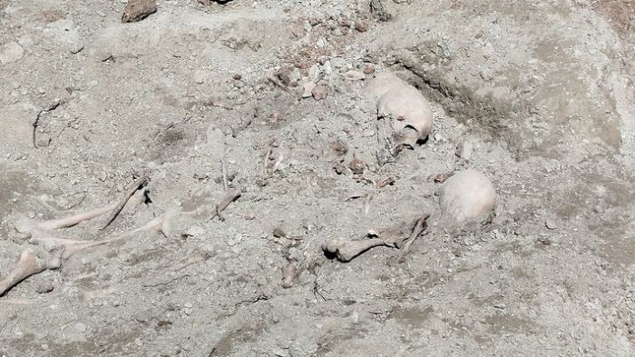 &Theta;&epsilon;&sigma;&sigma;&alpha;&lambda;&omicron;&nu;ί&kappa;&eta; - &Sigma;&upsilon;&kappa;&iota;έ&sigmaf;: &Mu;&alpha;&zeta;&iota;&kappa;&omicron;ί &tau;ά&phi;&omicron;&iota;, &omicron;&pi;έ&sigmaf; &alpha;&pi;ό &sigma;&phi;&alpha;ί&rho;&epsilon;&sigmaf; &sigma;&tau;&omicron; &kappa;&rho;&alpha;&nu;ί&omicron; &kappa;&alpha;&iota; &tau;&omicron; &beta;ά&theta;&rho;&omicron; &tau;&eta;&sigmaf; &alpha;&sigma;&tau;&iota;&kappa;ή&sigmaf; &delta;&eta;&mu;&omicron;&kappa;&rho;&alpha;&tau;ί&alpha;&sigmaf;