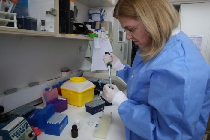 &Kappa;ύ&pi;&rho;&omicron;&sigmaf;: &Tau;&rho;ί&alpha; &nu;έ&alpha; &epsilon;&pi;&iota;&beta;&epsilon;&beta;&alpha;&iota;&omega;&mu;έ&nu;&alpha; &kappa;&rho;&omicron;ύ&sigma;&mu;&alpha;&tau;&alpha; &kappa;&omicron;&rho;&omega;&nu;&omicron;ϊ&omicron;ύ &sigma;ή&mu;&epsilon;&rho;&alpha;