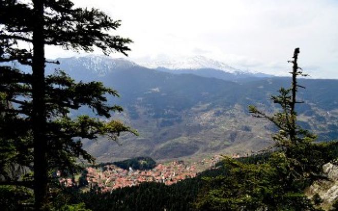 &Sigma;&upsilon;&mu;&beta;&alpha;ί&nu;&epsilon;&iota; &sigma;&tau;&eta;&nu; &Epsilon;&lambda;&lambda;ά&delta;&alpha;: &laquo;&Iota;&epsilon;&rho;έ&sigmaf;&raquo; &delta;&iota;&epsilon;&kappa;&delta;&iota;&kappa;ή&sigma;&epsilon;&iota;&sigmaf; 53.000 &sigma;&tau;&rho;&epsilon;&mu;&mu;ά&tau;&omega;&nu; &delta;ά&sigma;&omicron;&upsilon;&sigmaf; &mu;&epsilon; &tau;ί&tau;&lambda;&omicron;&upsilon;&sigmaf; &alpha;&pi;ό &tau;&omicron;... &Beta;&upsilon;&zeta;ά&nu;&tau;&iota;&omicron;!