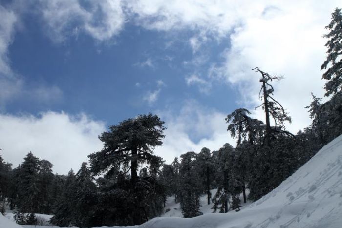 &Beta;&alpha;&rho;&iota;ά &chi;&iota;&omicron;&nu;ό&pi;&tau;&omega;&sigma;&eta; &sigma;&tau;&omicron; &Tau;&rho;ό&omicron;&delta;&omicron;&sigmaf;
