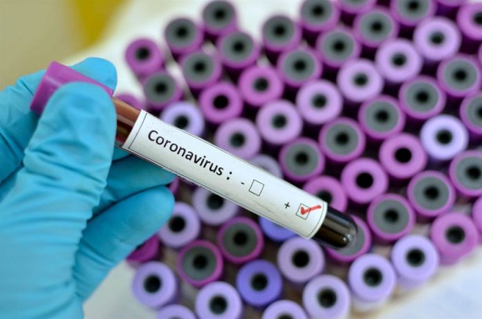 Τουρκία: Εμβόλιο κατά κορωνοϊού χρησιμοποιήθηκε σε ζώα
