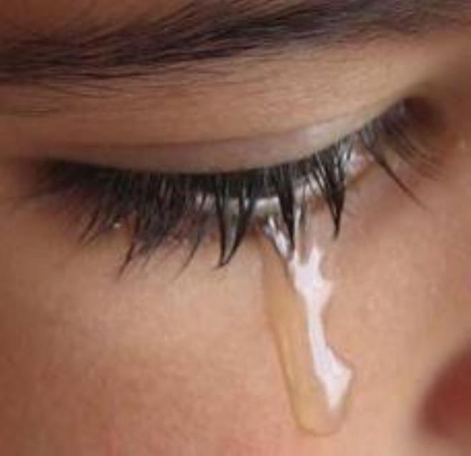 &Pi;&alpha;&rho;&alpha;&beta;&iota;ά&sigma;&epsilon;&iota;&sigmaf; &Sigma;&upsilon;&mu;&beta;ά&sigma;&epsilon;&omega;&nu; &kappa;&alpha;&iota; &epsilon;&theta;&nu;&iota;&kappa;ή&sigmaf; &nu;&omicron;&mu;&omicron;&theta;&epsilon;&sigma;ί&alpha;&sigmaf; &sigma;&tau;&omicron; &chi;&epsilon;&iota;&rho;&iota;&sigma;&mu;ό &upsilon;&pi;ό&theta;&epsilon;&sigma;&eta;&sigmaf; &kappa;&alpha;&kappa;&omicron;&pi;&omicron;ί&eta;&sigma;&eta;&sigmaf; &alpha;&nu;ή&lambda;&iota;&kappa;&eta;&sigmaf;