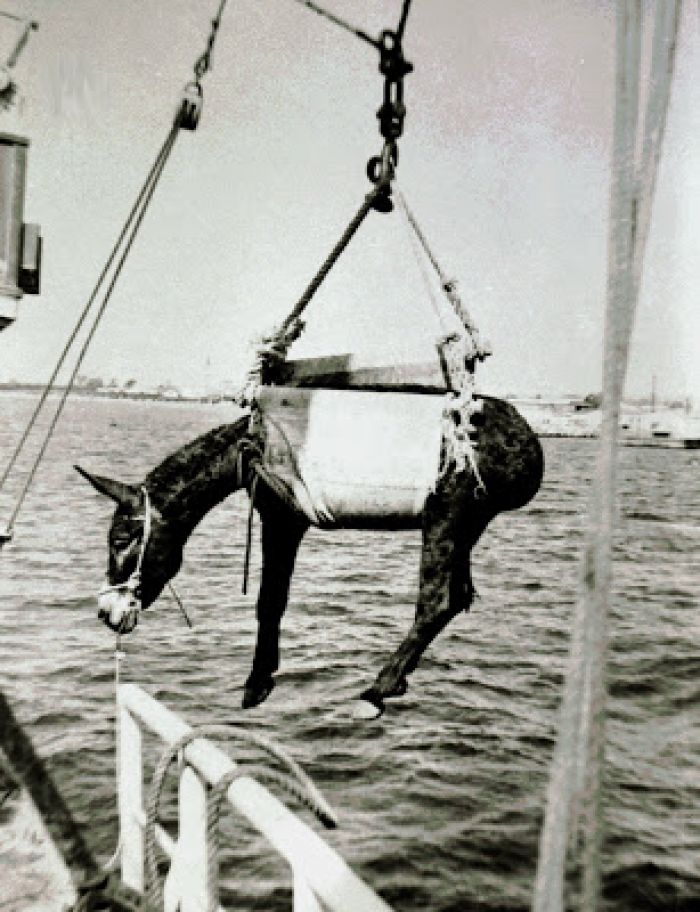 Ώ&sigma;&tau;&epsilon; έ&tau;&sigma;&iota;, &epsilon;; &Delta;&epsilon;&nu; &upsilon;&pi;ά&rho;&chi;&omicron;&upsilon;&nu; &Kappa;ύ&pi;&rho;&iota;&omicron;&iota; &sigma;&tau;&eta;&nu; &Kappa;ύ&pi;&rho;&omicron;...