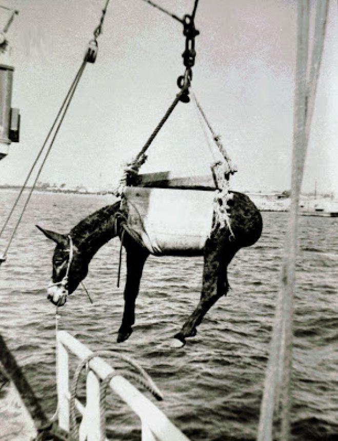 Ώ&sigma;&tau;&epsilon; έ&tau;&sigma;&iota;, &epsilon;; &Delta;&epsilon;&nu; &upsilon;&pi;ά&rho;&chi;&omicron;&upsilon;&nu; &Kappa;ύ&pi;&rho;&iota;&omicron;&iota; &sigma;&tau;&eta;&nu; &Kappa;ύ&pi;&rho;&omicron;...