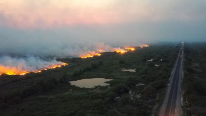 O &Chi;&omicron;&alpha;&kappa;ί&nu; &Phi;ί&nu;&iota;&xi; &sigma;&epsilon; &tau;&alpha;&iota;&nu;ί&alpha; &mu;&iota;&kappa;&rho;&omicron;ύ &mu;ή&kappa;&omicron;&upsilon;&sigmaf; &gamma;&iota;&alpha; &tau;&omicron;&nu; &Alpha;&mu;&alpha;&zeta;ό&nu;&iota;&omicron; &kappa;&alpha;&iota; &tau;&omicron;&upsilon;&sigmaf; &alpha;&upsilon;&tau;ό&chi;&theta;&omicron;&nu;&epsilon;&sigmaf; &kappa;&alpha;&tau;&omicron;ί&kappa;&omicron;&upsilon;&sigmaf;